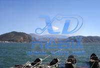金棱島